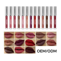 Ensemble de rouge à lèvres liquide minéral mat imperméable hydratant naturel pour femmes, 50G, fabriqué en Chine