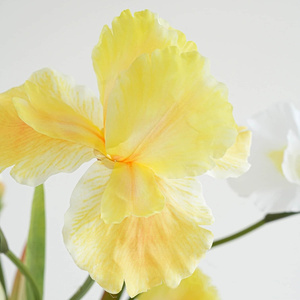 GOG1077 <span class=keywords><strong>Iris</strong></span> en soie réaliste de haute qualité pour l'intérieur et l'extérieur de Noël Pâques Retour École Fleurs artificielles décoratives - Product Image 6