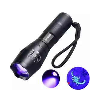 Mini Lampe de Poche Ultra Violet 21 LED Maroc