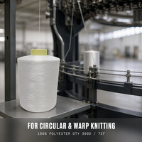 Fil à tricoter 100 % polyester DTY 100/144 de haute qualité, très demandé, pour chaussettes, écologique, anti-boulochage, anti-bactérien, certifié Oeko-Tex, brut