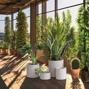 Piantatrice a cilindro tondo <span class=keywords><strong>in</strong></span> <span class=keywords><strong>cemento</strong></span> semplice personalizzata con vassoio per piante da giardino Decorative per interni ed esterni - Product Image 6