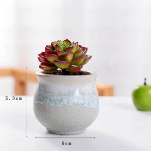 Décor de table créatif multicolore Macetas Plantes succulentes de jardin Céramique à peindre Balcon Jardinage Bonsaï Petit pot de fleurs - Product Image 3