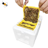 Nouveau mini-système d'élevage de reines pour ruche, boîte à abeilles en mousse avec 3 cadres