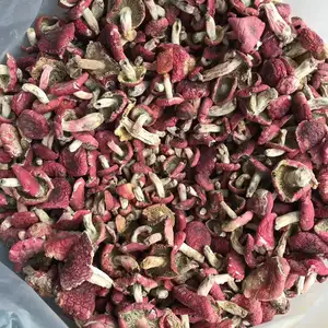 Hong gu Natürliche getrocknete essbare rote Pilze für Lebensmittel