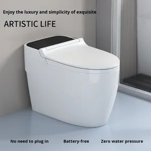 <span class=keywords><strong>Toilette</strong></span> ordinaire, siphonique, non branchée, domestique, mécanique, à pression latérale, chasse d'eau au pied, pompage d'eau, nettoyage à l'eau froide - Product Image 2