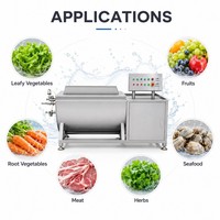 Multifunctionele automatische hef- en draaivormige fruit- en groentewasmachine voor mosselen, vis, eend en vlees