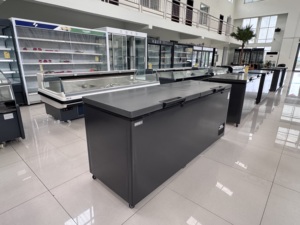 Congélateur coffre commercial grande capacité à air direct, 2 portes, contrôle numérique de la température pour supermarchés et restaurants - Product Image 6