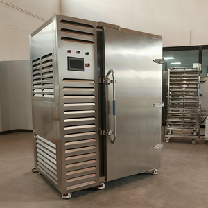 Di grandi dimensioni Rapido Congelamento di <span class=keywords><strong>Pasta</strong></span>/<span class=keywords><strong>Pizza</strong></span>/cibi Cotti Esplosione Refrigeratore Congelatore - Product Image 4