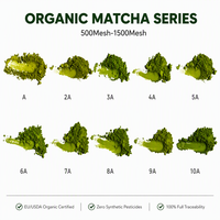 Poudre de thé vert Matcha biologique certifiée USDA & UE, certifiée HALAL, pure, de qualité cérémoniale, en vrac, vente en gros A-10A