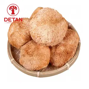 China export high quality bulk dried lions mane mushroom