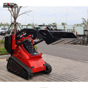 Mini <span class=keywords><strong>Skid</strong></span> Steer <span class=keywords><strong>Loader</strong></span> Harga Terjangkau Sesuai Standar CE/EPA HAVTEK 950 kg dengan Lengan Penyeimbang yang Stabil dan Andal - Product Image 2