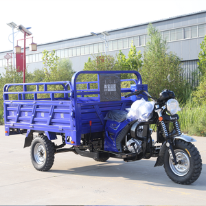 Tricycle à essence 200cc avec moteur Zongshen, cadre renforcé, caisse de <span class=keywords><strong>chargement</strong></span> à double <span class=keywords><strong>rail</strong></span>, vente chaude au Ghana pour le transport d'eau - Product Image 5