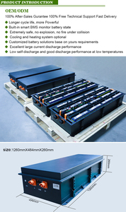 Batterie marine LiFePO4 CTS zéro émission 96V 300Ah 30kWh pour propulsion de catamaran, personnalisée - Product Image 2
