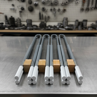 Élément chauffant en carbone personnalisé RA Sic/Mosi2 110/240/380V, type U/L/W/I, tige en carbure de silicium avec placage en zinc pour fours électriques