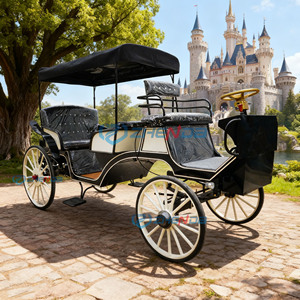 Nouvelle calèche de luxe européenne pour le tourisme, les événements, les mariages en parc, calèches à chevaux électriques - Product Image 2