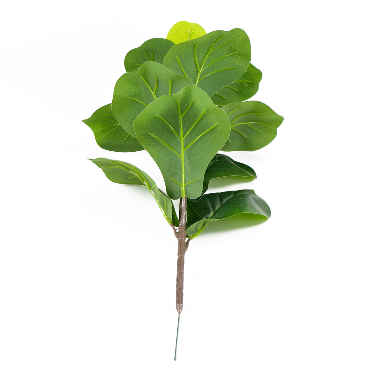 Ramo lungo 70 cm con 15 foglie di Ficus microcarpa