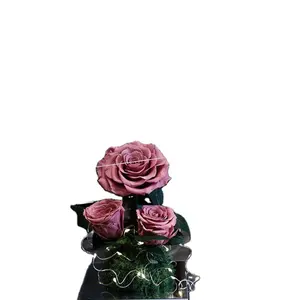 Longlive New Arrival Wholesale Forever Eternal Real Preserved Rose