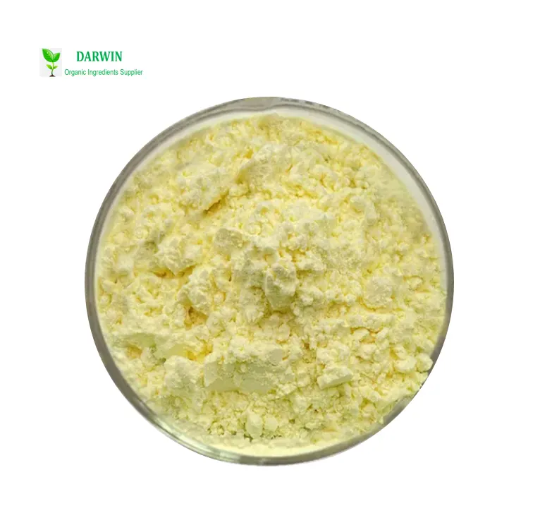 Kavalattoni di estratto di radice di Kava Kava solubile in acqua organica di alta qualità DAR