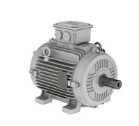 Générateur Électrique Triphasé WEG W21/W22 3kw 4kw 5.5kw 8kw 10kw 20kw 15kw Alternateur Moteur AC 220v 380v 400V 690V