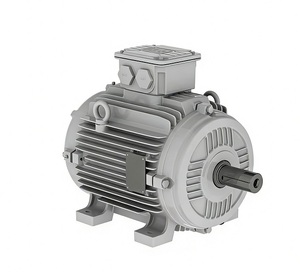 Generador Eléctrico Trifásico WEG W21/W22 de 3kw, 4kw, 5.5kw, 8kw, 10kw, 20kw, 15kw, Alternador, Motor de CA de 220v, 380v, 400V, 690V - Product Image 4