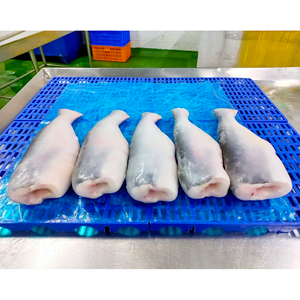 Pangasius Congelado Swai HGT, Pangasius Basa HGT, Pangasius Entero sin Cabeza y Eviscerado - Product Image 3