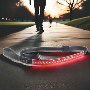 <span class=keywords><strong>Collar</strong></span> de perro parpadeante <span class=keywords><strong>LED</strong></span> recargable por USB, <span class=keywords><strong>Collar</strong></span> de nailon ajustable para mascotas, 3 modelos brillantes, decoración de piel, seguridad nocturna, brillo oscuro - Product Image 1