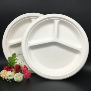 <span class=keywords><strong>Assiette</strong></span> <span class=keywords><strong>jetable</strong></span> biodégradable en bagasse de canne à sucre PT PACK 3 compartiments 9 pouces - Product Image 2