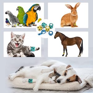 Vendajes cohesivos adhesivos para mascotas, sin composición médica o farmacológica para caballos, curación de muñeca para mascotas, esguince de tobillo e hinchazón - Product Image 6