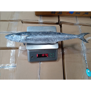 Exportador de Pescado Atún del Pacífico Fresco y Congelado Orgánico de China, Fabricante de Pescado Atún Congelado - Product Image 6