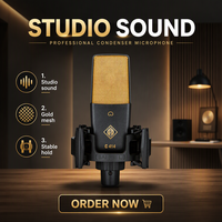 Microphone à condensateur filaire 48V certifié C414, qualité professionnelle, fabricant, réduction de bruit, métal, livraison rapide