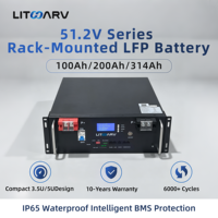 Batterie lithium-ion 51,2 V 100 Ah 5,12 kWh montée sur rack pour système solaire domestique, stockage d'énergie de secours