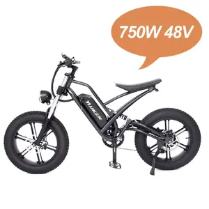 Elektrische Fiets 48V 1000W Fiets Lithiumbatterij Elektrische Mountainbike 26*4.0 Elektrikli Bisiklet