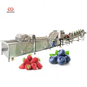 Water Bubble Type Strawberries Grape Berry Washing Cleaner Blueberry Cleaning Machine