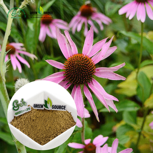 Polvo de extracto de equinácea antioxidante de hierba de Vida Verde, polifenoles 4% UV, polvo de extracto de equinácea purpurea - Product Image 3