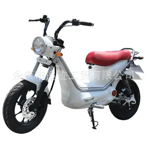 2024 Hot sale three wheel electric motorcycle EEC COC 1000w tricycle bicycle sidecar for adults electric ciytcoco pets scooter