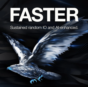 ฮาร์ดดิสก์ EAGATE 6TB ภายใน ความเร็ว 6Gb/s หน่วยความจำ 256MB ขนาด 3.5 นิ้ว สำหรับระบบกล้องวงจรปิด DVR NVR รุ่น Skyhawk ใช้กับแล็ปท็อปภายในบ้าน ฮาร์ดดิสก์ภายในแบบใหม่ - Product Image 4
