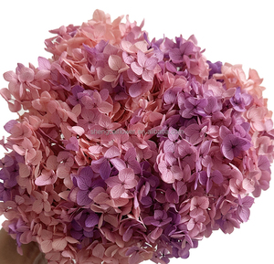 Pétales stabilisés, mousse et plantes murales, cadeau décoratif, vente en gros, <span class=keywords><strong>fleurs</strong></span> réelles, bouquet de roses et hortensias au toucher réel - Product Image 6