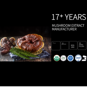 100% cibo di grado <span class=keywords><strong>Reishi</strong></span> fungo estratto di massa integratore sanitario Ganoderma Lucidum polvere di erbe in tamburo di imballaggio - Product Image 3