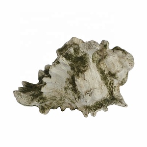 Conchas de mar de resina <span class=keywords><strong>blanca</strong></span> Natural <span class=keywords><strong>grande</strong></span> Vieiras de <span class=keywords><strong>almeja</strong></span> naturales a granel modernas para decoración de pared para escultura de decoración del hogar - Product Image 2