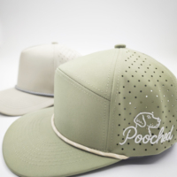 Nuevo Diseño, Gorras de Béisbol Unisex con Logotipo Metálico Bordado en 3D, Corte Láser Perforado, Ajustables, Impermeables, de 6 Paneles, Dobby Argyle
