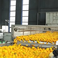 Industriële multifunctionele sap- en jammachine met 304 roestvrijstalen tandwielen en lagers, sapverwerkingslijn