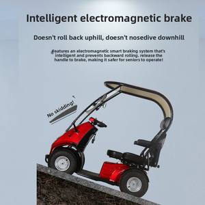 Oudere Woon-Werkauto Vierwielige Elektrische Auto Familie Vervoer Kinderen Met Schuilplaats Kleine Bus Elektrische <span class=keywords><strong>Scooter</strong></span> - Product Image 5