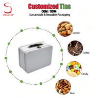 Boîtes en étain rectangulaires personnalisées, boîtes métalliques, conteneurs de stockage, boîtes en étain de qualité alimentaire recyclables pour cosmétiques et repas, vente en gros OEM