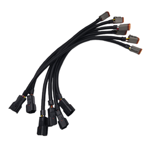 موصل ذكر مخصص للسيارات بـ 6 سنون SWP 7222-7464-40 إلى موصل أنثى بـ 6 سنون من نوع دويتش DT06-6S مع ضفيرة أسلاك - Product Image 2