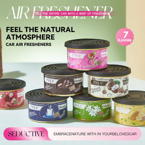 Ambientador Personalizable para Coche con Fibra Orgánica, Perfume para el Salpicadero del Coche - Product Image 3