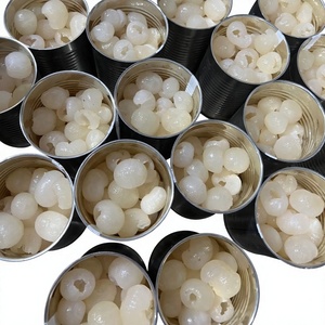 Longan enlatado dulce de calidad superior de fábrica de Vietnam en jarabe ligero a granel, el mejor vendedor con excelente precio - Product Image 1