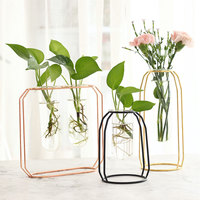 Support de plante en métal hydroponique maison jardin bureau décoration de mariage station de propagation colorée