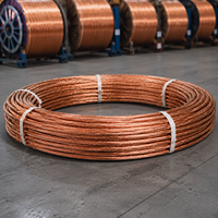 Venta Directa de Fábrica, Alambre de Cobre Sólido Puro al 99.9% de 0.5mm, 0.8mm, 1mm, 1.5mm, con Servicios de Soldadura y Corte, Cobre C11000