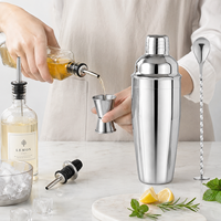 Ensemble de shaker à cocktails en acier inoxydable finition miroir, 5 pièces, outils de bar avec doseur, cuillère de bar et 2 becs verseurs pour bar à domicile
