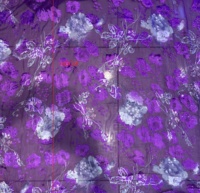 Crêpe de chine en soie pure, largeur 140 cm, poids 16mm, impression d'écran, tissu en soie chinoise